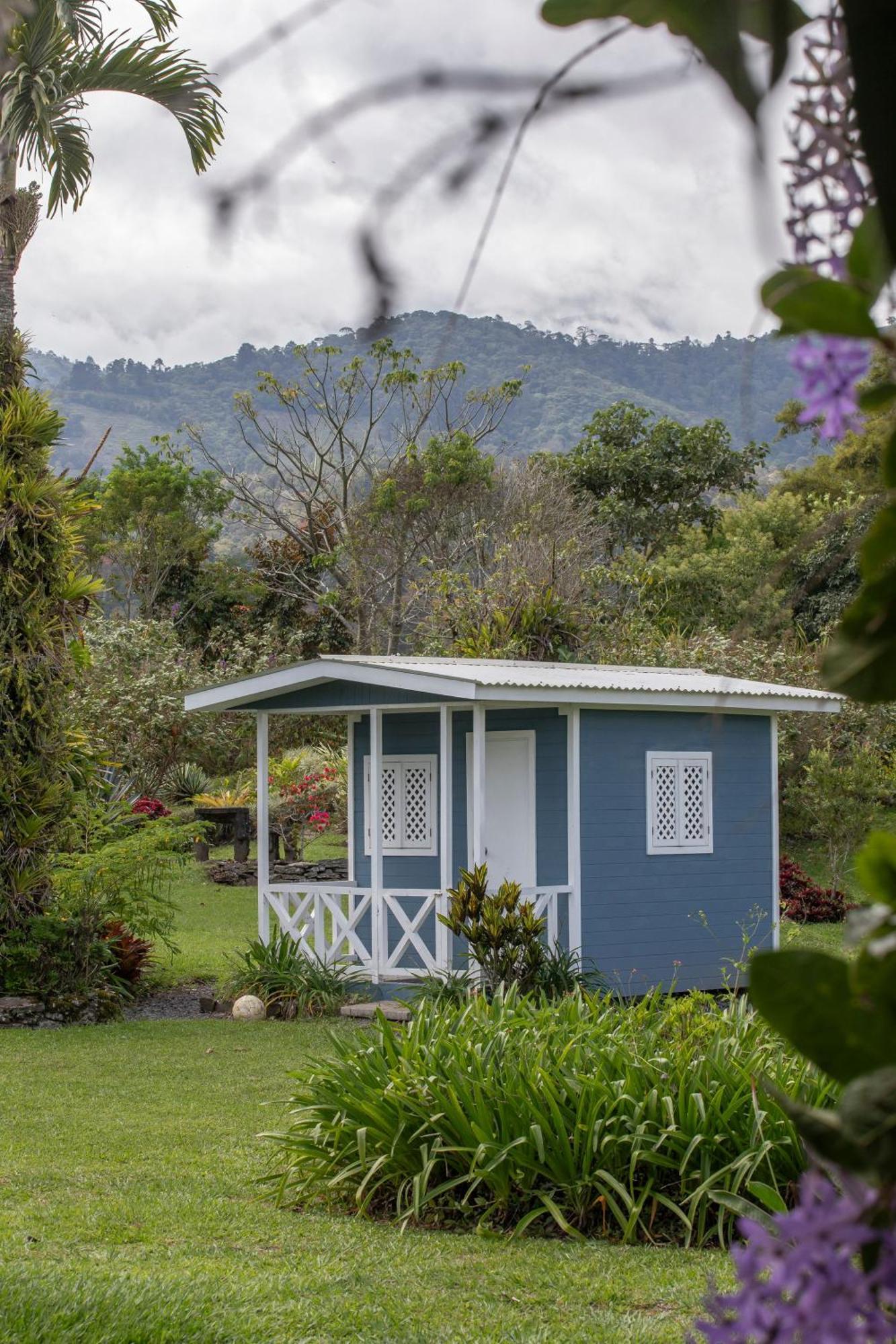 Aquiares Coffee Farm Casa Hacienda La Esperanza Bed & Breakfast Turrialba Bagian luar foto