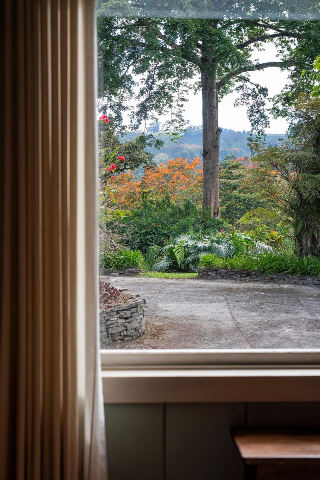 Aquiares Coffee Farm Casa Hacienda La Esperanza Bed & Breakfast Turrialba Bagian luar foto