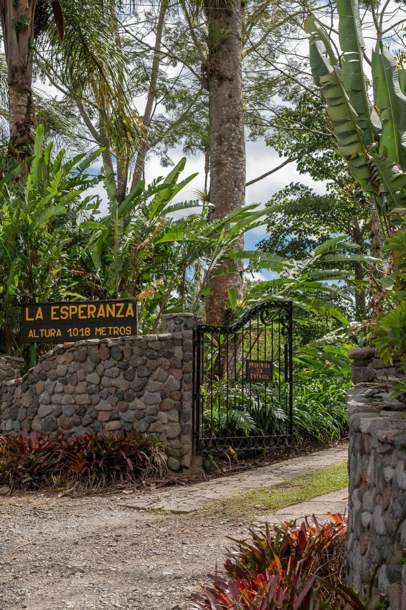Aquiares Coffee Farm Casa Hacienda La Esperanza Bed & Breakfast Turrialba Bagian luar foto
