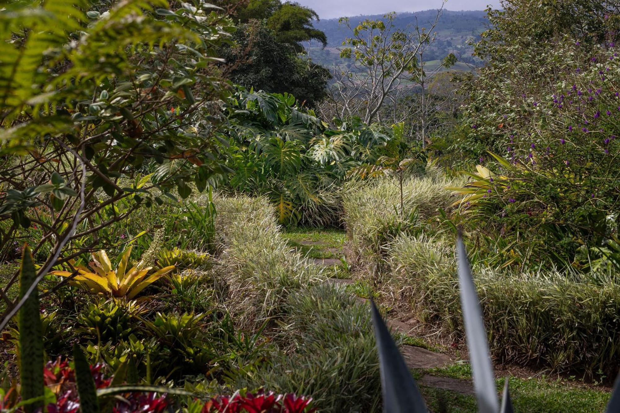 Aquiares Coffee Farm Casa Hacienda La Esperanza Bed & Breakfast Turrialba Bagian luar foto