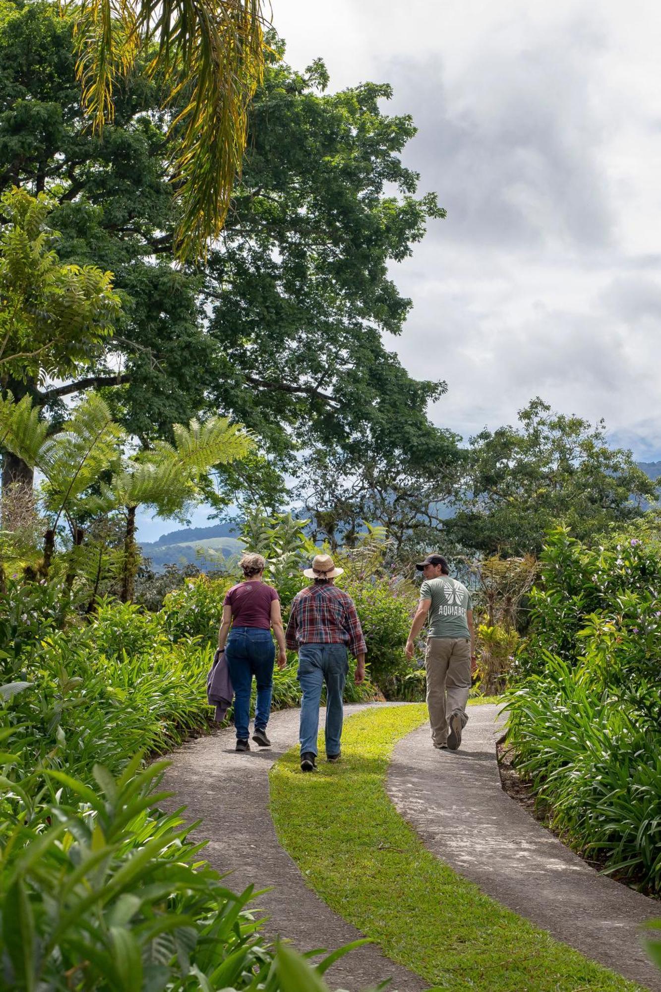 Aquiares Coffee Farm Casa Hacienda La Esperanza Bed & Breakfast Turrialba Bagian luar foto