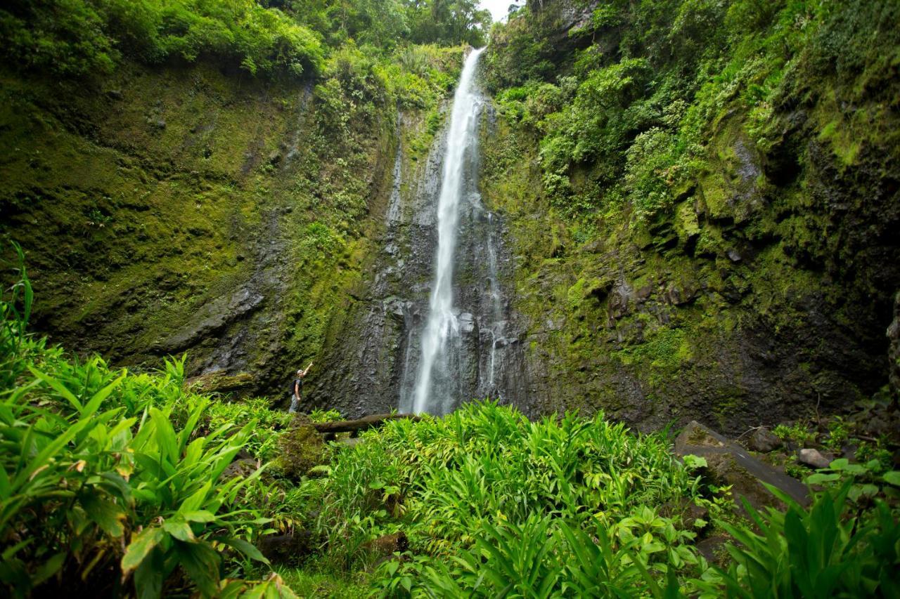 Aquiares Coffee Farm Casa Hacienda La Esperanza Bed & Breakfast Turrialba Bagian luar foto