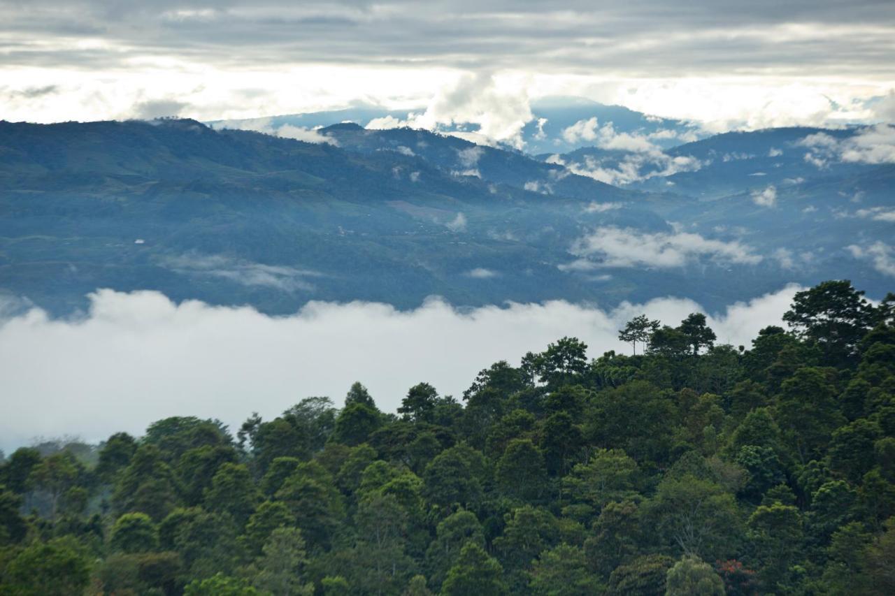 Aquiares Coffee Farm Casa Hacienda La Esperanza Bed & Breakfast Turrialba Bagian luar foto